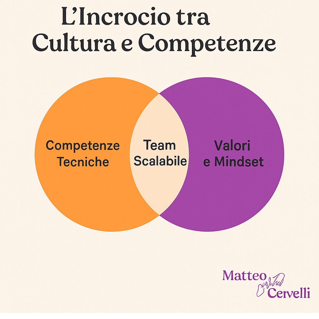 A Venn diagram showing the intersection between culture and skills